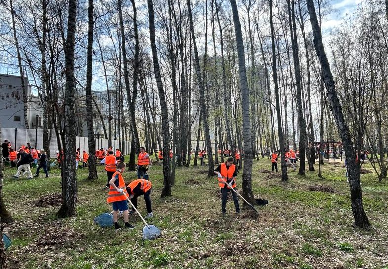 Субботник в Березовой роще